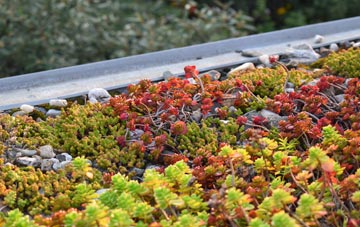 the cost of Stoak green roof installation