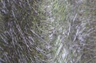 Stoak fibreglass roof work